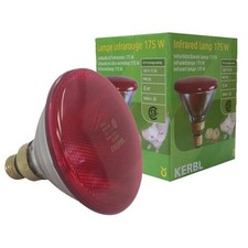 Infra red heat bulb - infra, ruby