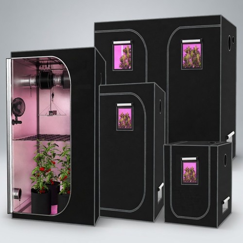 Grow tent hydroponics - grow,