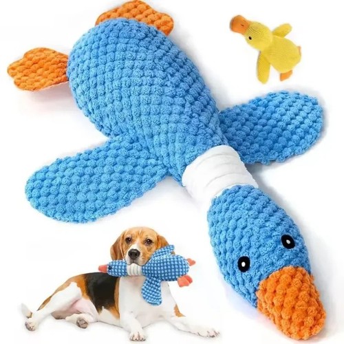 Dog chew toy - chew, squeaky