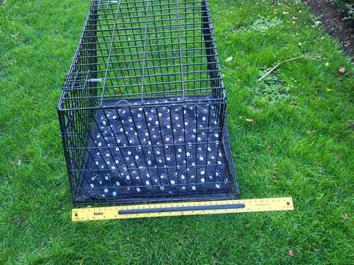 Car dog crate - car,
