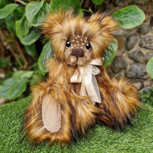 Kaycee bears waffle - kaycee,