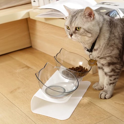 Double bowls feeder pet - feeder,