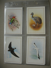 Set Cadbury 99 Flake Cards