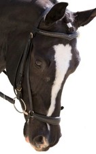 RED BARN Drop Noseband Leather