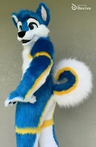 Husky fursuit blue - fursuit, yellow