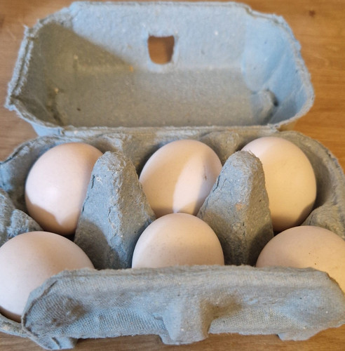 Eggs from polish - 6,