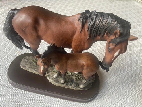 Leonardo collection bay mare - collection,