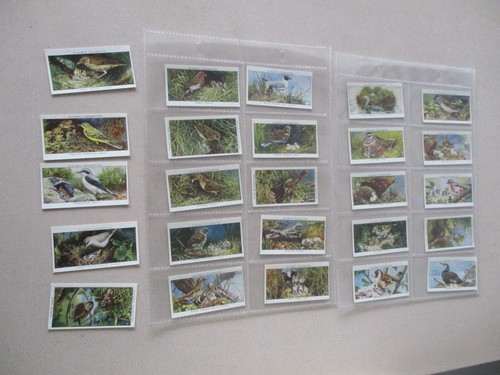 John player sons birds - john,