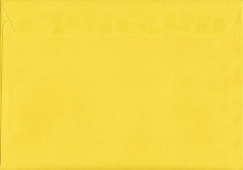 Canary yellow 114mm 162mm - canary, x