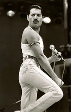 FREDDIE MERCURY