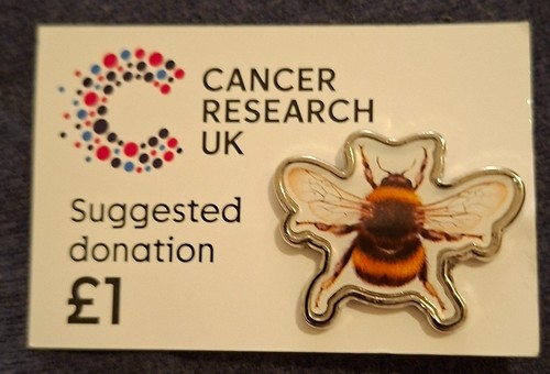 Charity pin badge - , bee