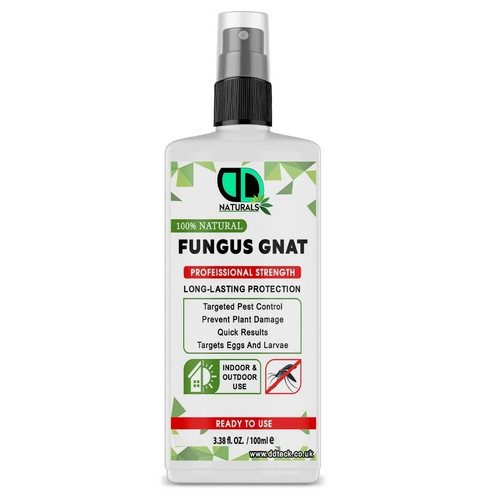 Fungus gnat killer spray - gnat,