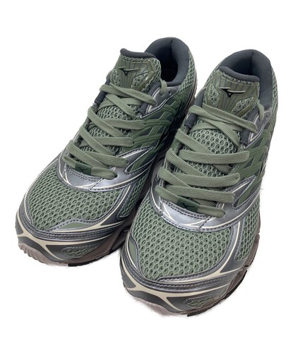Mizuno wave - mizuno, prophecy