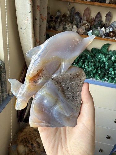 Druzy agate dolphin - druzy,