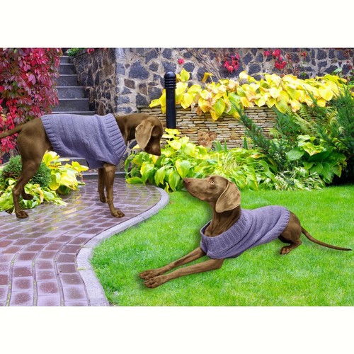 Knitting pattern dog jumper - dog,