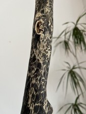 32cm SPALTED DRIFTWOOD BRANCH