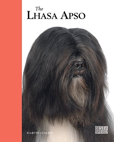 Lhasa apso best - -, by