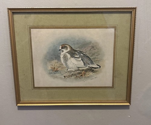 Basil ede vintage bird - ede,