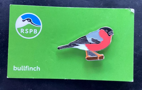 Rspb pin badge niic bullfinch - pin,