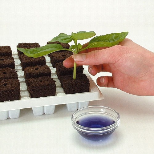 Root riot plant starter cubes - riot,