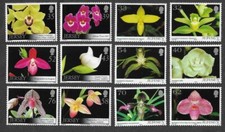 JERSEY ORCHIDS 2 SETS 2004 &