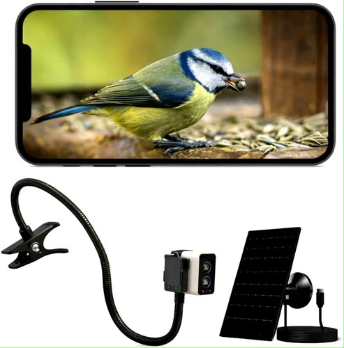 Smart bird feeder - smart, 4mp
