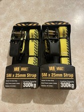Van Vault 5M x 25mm Ratchet Strap X2 BI0409