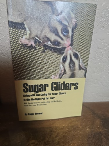 Sugar gliders living with - :,