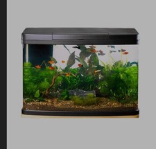 Love Fish Panorama Tank 64L