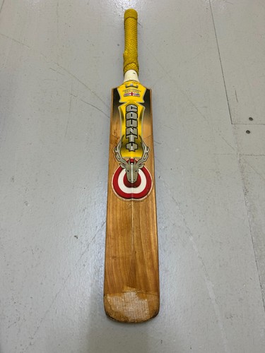 Hunts county mettle cricket - county,