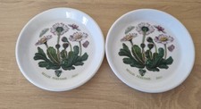Set Of 2 Portmeirion Botanic Garden Coasters - Daisy Pattern