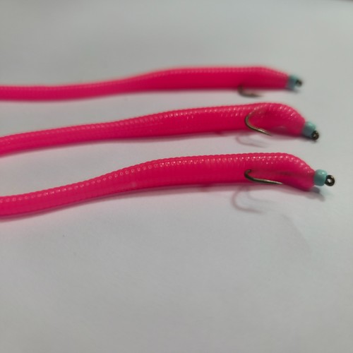 Pink worm fly - 3,