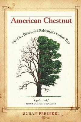 American chestnut the life - chestnut,