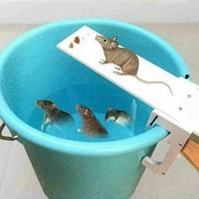 Home Garden Pest Control Rat