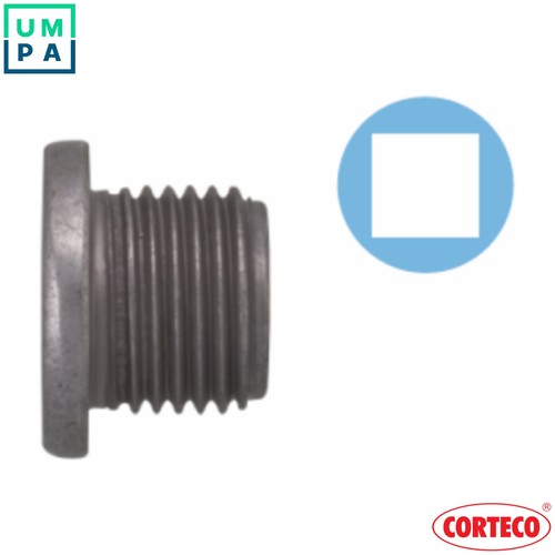 10x screw plug oil - 10x, sump