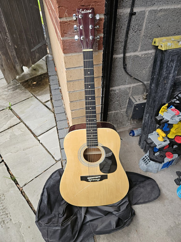 Falcon string dreadnought - 6-string,