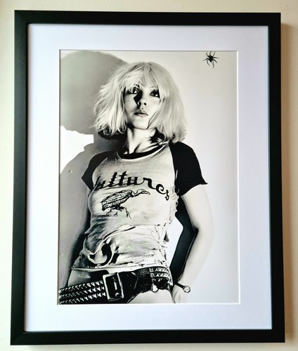 Blondie luxury mounted - blondie,