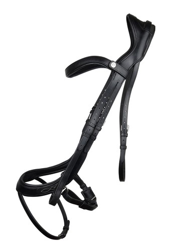 Ecorider freedom comfort - ecorider,