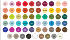 RANGER TIM HOLTZ ADIRONDACK