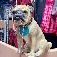 Pug Fawn Ornament Leonardo