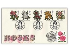 Double roses first day - day, |