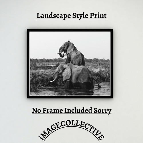 Elephant print picture - a4,