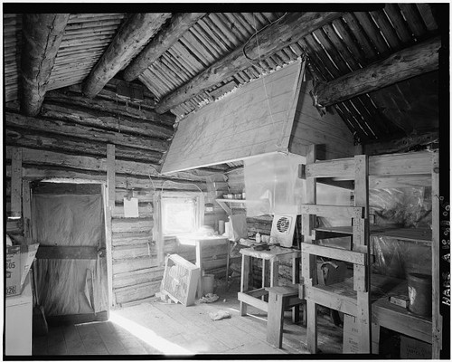 Bettles alaska vincent knorr - vincent,