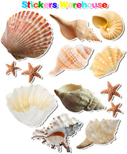 Seashell Sea Shells theme