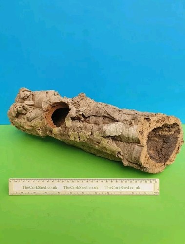 Cork bark hamster tube nest - bark,