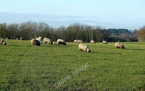 Photo 6x4 grazing land - grazing, near