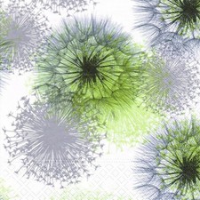 4 x Single Paper Table Napkin/3-Ply/33cm/Decoupage/Blowball/Dandelion Design 