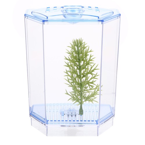 Mini plastic fish tank - plastic,