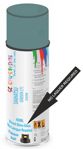 Aerosol spray paint for - spray,