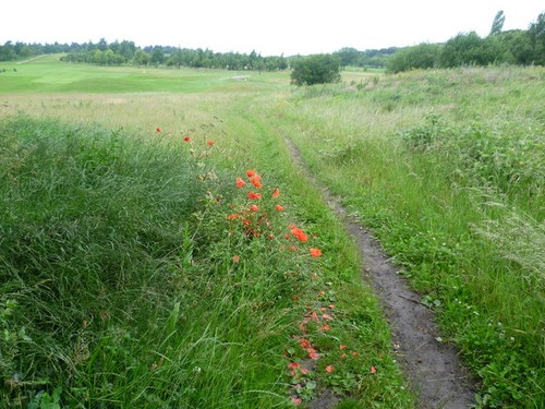 Photo footpath to - footpath,